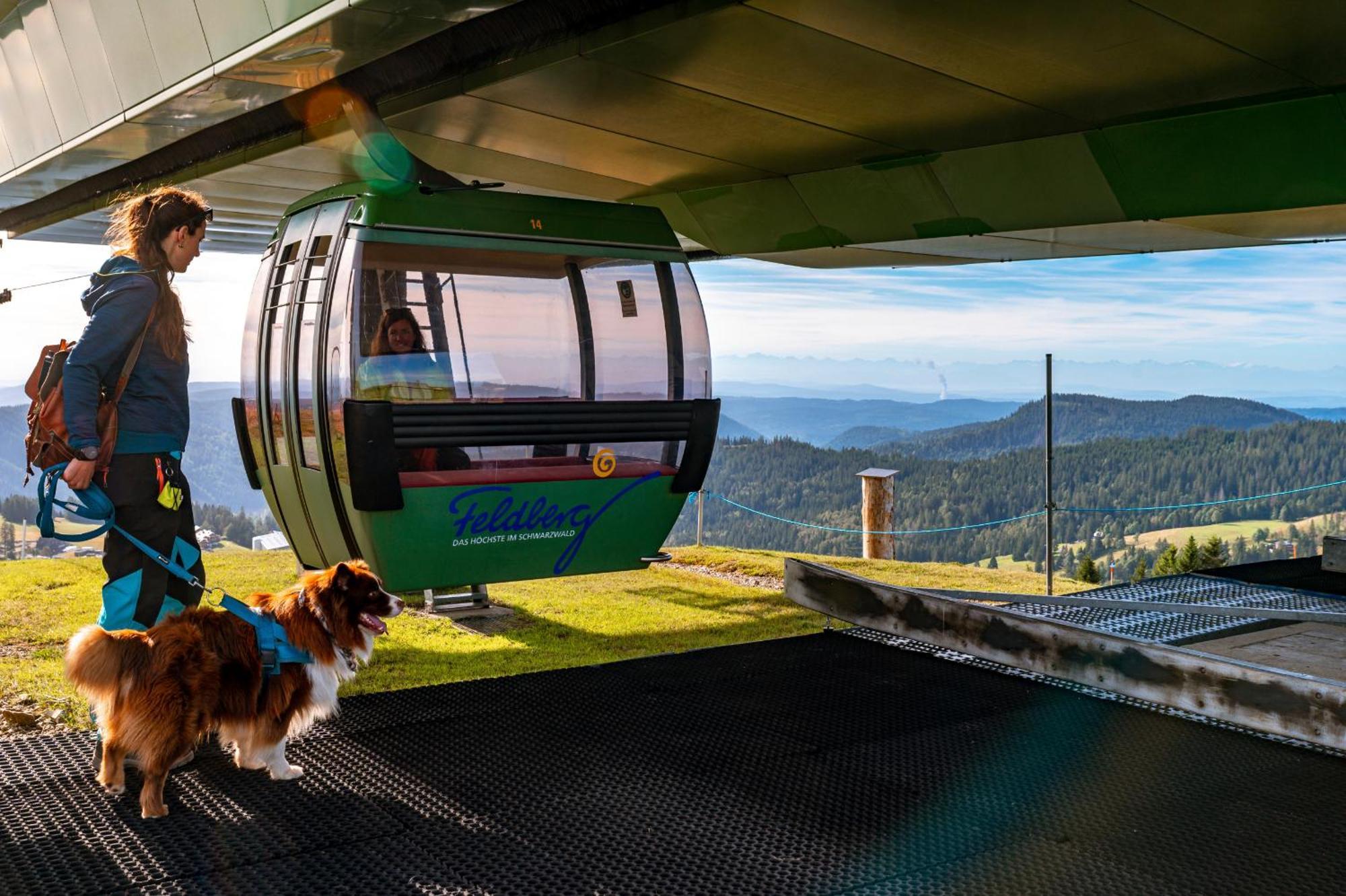 Villa Number 8 Feldberg  Dış mekan fotoğraf