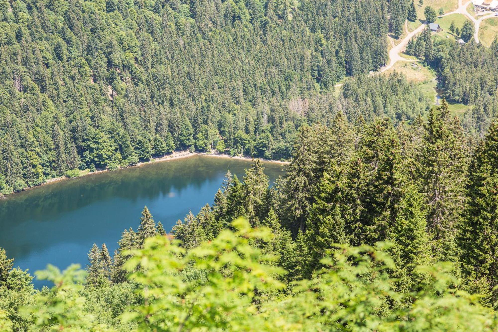 Villa Number 8 Feldberg  Dış mekan fotoğraf